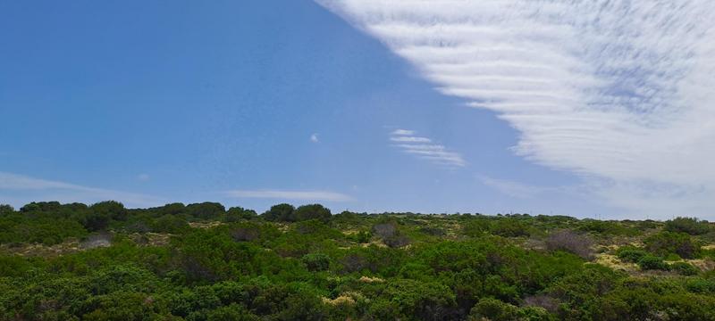 0 Bedroom Property for Sale in Jongensfontein Western Cape